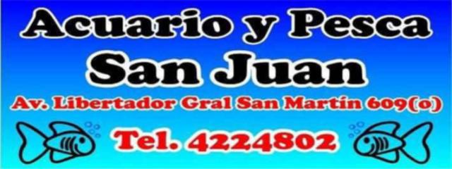 Auspiciante Nuevo Poder